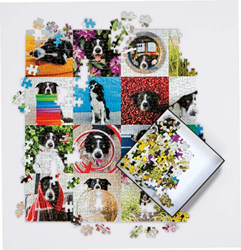 Galison Momo The Dog Puzzle, 500 Pieces, 20” x 20'' – Colorful Puzzle Featuring 16 Adorable Dog Images - Thick, Sturdy Pieces - Perfect for Family Fun, Multicolor
