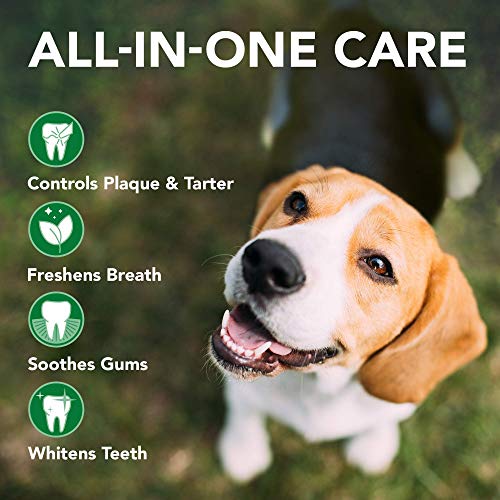 Vet’s Best Dog Toothbrush and Enzymatic Toothpaste Set - Teeth Cleaning and Fresh Breath Kit with Dental Care Guide - Vet Formulated