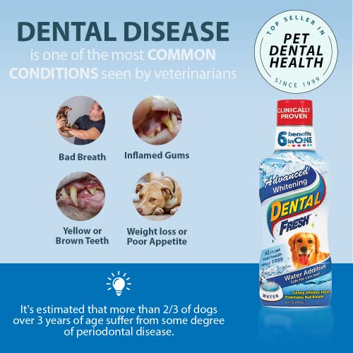 Dental Fresh Advanced Whitening Water Additive, 17oz – Dog Breath Freshener Formula to Hep Overall Dog Dental Care and Brighten Teeth