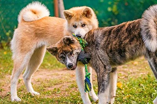 Pet Qwerks X-Tire Ball Dog Toys - Rope Interactive Chew Toy - Medium