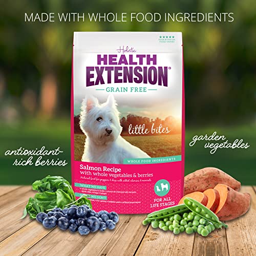 Health Extension Grain Free Little Bites for Dogs, Natural Food with Added Vitamins and Minerals, Perfect for Teacup, Toy and Miniature Dogs, Salmon Recipe (3.5lb Bag)