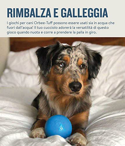 Planet Dog Orbee-Tuff Squeak Ball Blue Dog Fetch Toy