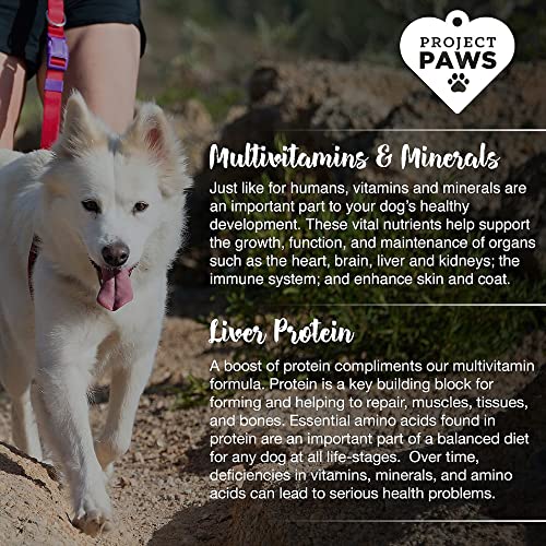 Project Paws Advanced Chewable Multivitamin for Dogs - Puppy and Senior Dog Vitamins w/ Vitamin C, Vitamin B12, and Vitamin D3 - Dog Immune Supplement - Liver Flavor - 180 ct., White