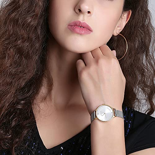 Skagen Women's Anita Quartz Analog Stainless Steel and Mesh Watch, Color: Gold/Silver (Model: SKW2340)