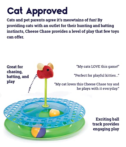Petstages Cheese Chase Catnip Interactive Cat Track Toy