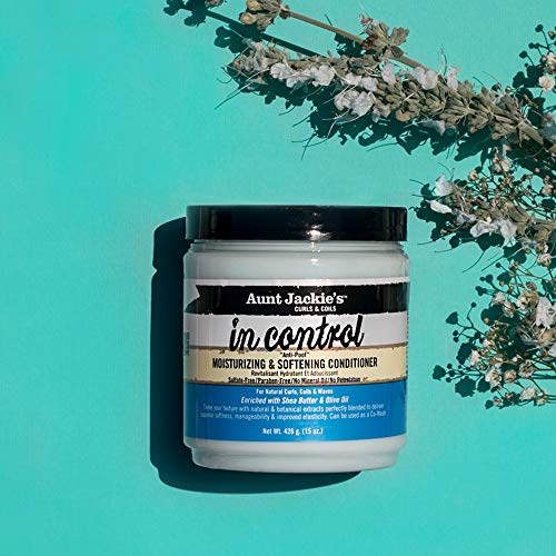 Aunt Jackie's in control 15oz - 'Anti-Poof' Moisturizing and Softening Conditioner