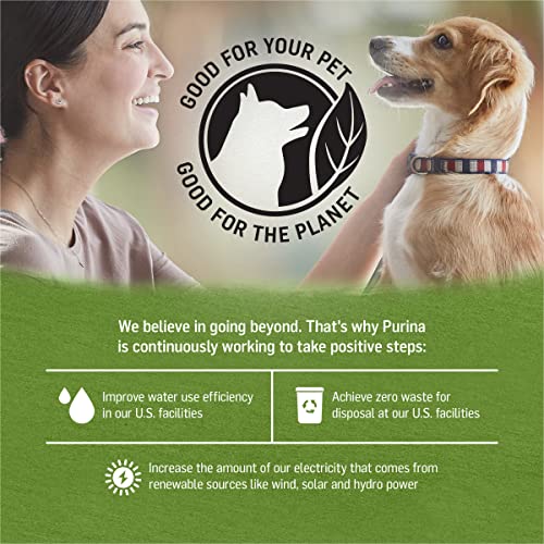 Purina Beyond Chicken, Lamb and Spinach Ground Natural Grain Free Wet Dog Food with Added Vitamins and Minerals - (12) 13 oz. Cans
