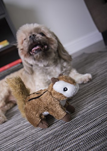 GoDog Wildlife Chipmunk Small Toy with Chew Guard