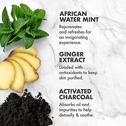 SheaMoisture African Wild Water Mint Detox and Stimulate Hand and Body Scrub, 12 Ounce (Pack of 1)