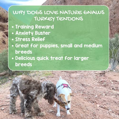 Nature Gnaws USA Turkey Tendons for Dogs - Premium Natural Chew Treats for Dogs - Delicious Reward Snack for Small Medium and Large Dogs - Made in The USA 4 oz Bag