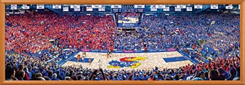 MasterPieces 1000 Piece Sports Jigsaw Puzzle - NCAA Clemson Tigers Center View Panoramic - 13'x39'