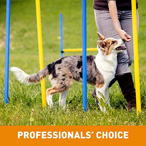 Cloud Star Tricky Trainers Chewy Low Calorie Dog Training Treats, Made in the USA Wheat and Corn Free, Soft Puppy Bites 14 oz Cheddar