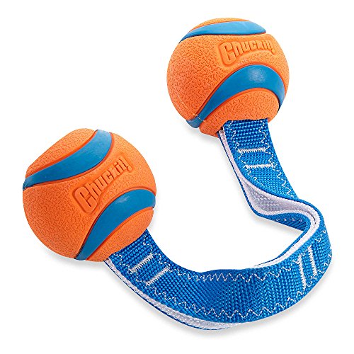 Chuckit! Ultra Duo Tug Dog Toy, Medium Indoor and Outdoor Dog Toy