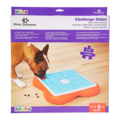 Outward Hound Nina Ottosson Challenge Slider Interactive Treat Puzzle Dog Toy, Advanced