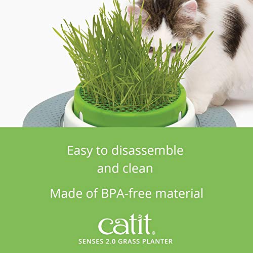 Catit Senses 2.0 Cat Grass Planter, Interactive Cat Toys