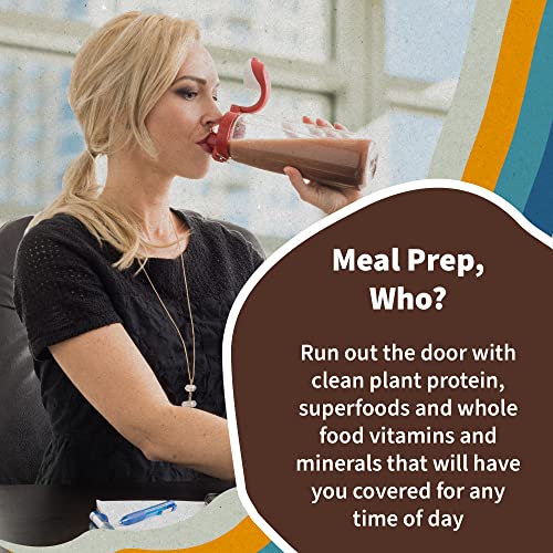 Tasty Organic Chocolate Meal Replacement Shake Vegan - Garden of Life - 20g Complete Plant Based Protein, Greens, Digestive Enzymes, Pro and Prebiotics for Easy Digestion – Non-GMO, Gluten-Free, 1.2 LB