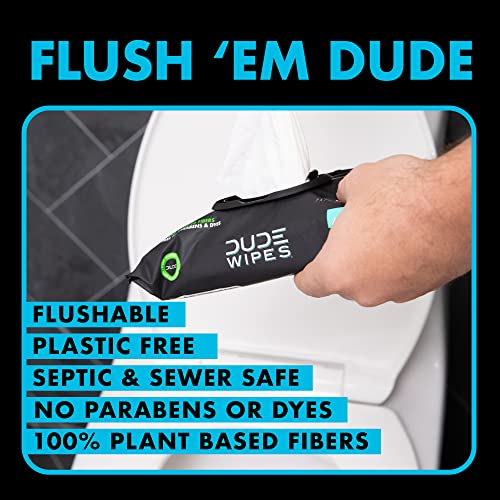 DUDE Wipes Flushable Wipes - 6 Pack, 288 Wipes - Unscented Wet Wipes with Vitamin-E and Aloe for at-Home Use - Septic and Sewer Safe