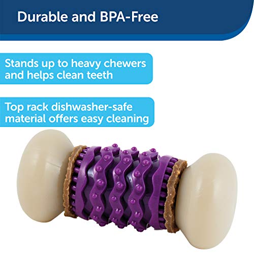 PetSafe Busy Buddy Nobbly Nubbly Treat Holding Dog Toy – Strong Chewers – Challenging - Treat Rings Included - Medium