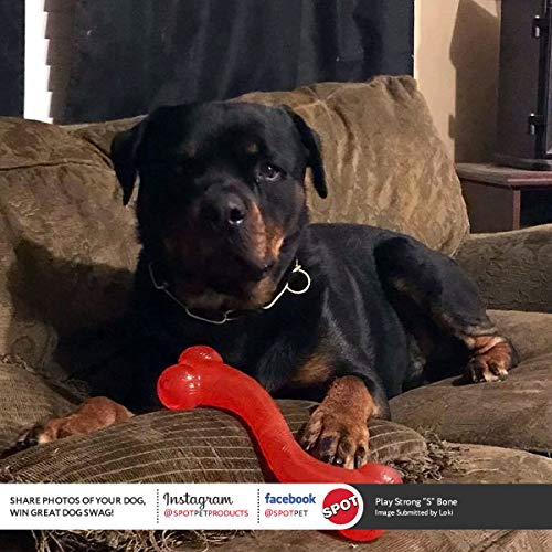 SPOT by Ethical Products Play Strong S-Shaped Bone Dog Toy | Interactive Durable Rubber Dog Toy for Aggressive Chewers | Hollow Center Ideal for Treats | 12”, Red