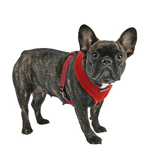 Puppia Soft Dog Harness, Wine, X-Small (PDCF-AC30-WN-XS)