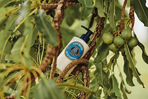 L'Occitane Moisturizing 15% Shea Butter Body Rich Lotion | Nourish and comfort | Protects skin from dryness | 8.4 Fl Oz