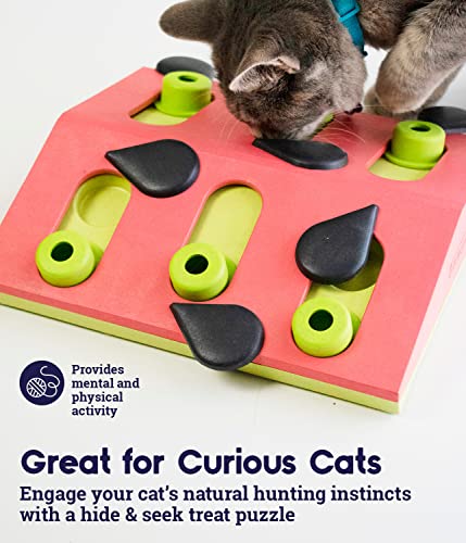 Petstages Nina Ottosson Melon Madness Puzzle and Play - Interactive Cat Treat Puzzle