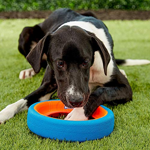 ChuckIt! Fetch Wheel Toy for Dogs, Small