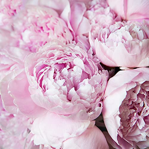 Calvin Klein Eternity for Women Eau Fresh Eau de Parfum, 3.3 Fl. Oz.