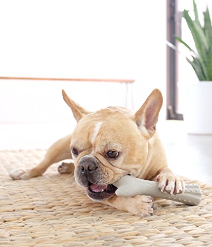 Petstages Deerhorn Antler Alternative Dog Chew Toy, Small