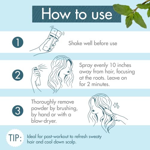 Klorane Detox Dry Shampoo with Aquatic Mint, All Hair Types, Invisible Finish, Cooling, Paraben and Sulfate-Free, 3.2 oz.