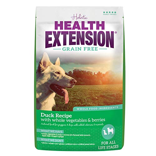 Health Extension Dry Dog Food, Natural Food with Added Vitamins and Minerals, Suitable for All Puppies, Include Duck Recipe with Whole Vegetable and Berries (4 Pound)