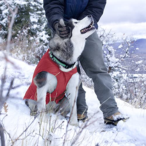 Kurgo Loft Dog Jacket - Reversible Fleece Winter Coat - Cold Weather Protection - Wear With Harness Or Additional Layers - Reflective Accents, Leash Access, Water Resistant - Chili Red/Charcoal, S