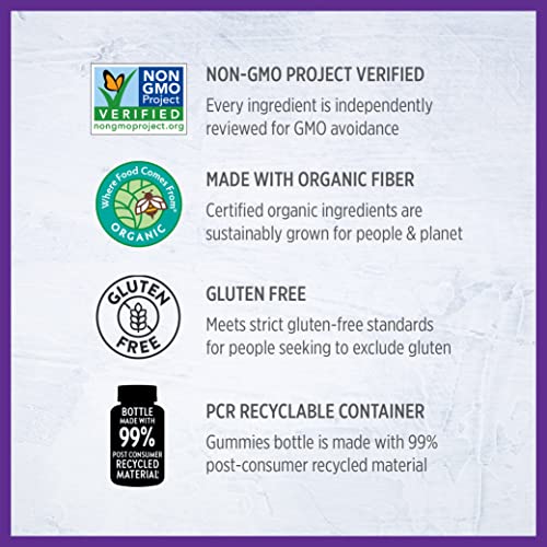 New Chapter Prenatal Multivitamin Gummies – 71% Less Sugar, Prenatal Gummies for Mom and Healthy Baby with Prenatal Vitamins Methylfolate, D3, Choline and Ginger, Non-GMO, Gluten Free, Berry Citrus, 90ct