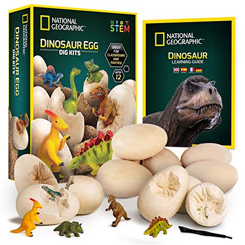 NATIONAL GEOGRAPHIC Dinosaur Dig Kit - 12 Dino Shaped Dig Bricks with Dinosaur Figures Inside, 12 Excavation Tool Sets, Perfect Activity for Egg Hunt or Dig Party, Great STEM Toy for Boys and Girls