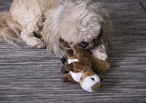 GoDog Wildlife Chipmunk Small Toy with Chew Guard