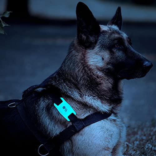 Case-Mate Airtag Dog Collar Holder - Water Resistant Airtag Holder Dog Tag - Protective Airtag Case for Dog Collar - Pet Collar Airtag Loop - Compatible with Cat/Dog Collars - Glow in The Dark