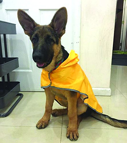 RC Pet Products Packable Dog Rain Poncho, Sunshine, Medium