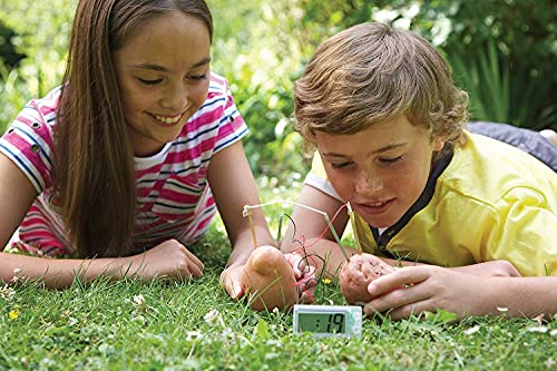 4M Potato Clock DIY Green Science Chemistry Engineering Lab - STEM Toys Educational Gift for Kids and Teens, Girls and Boys, Brown