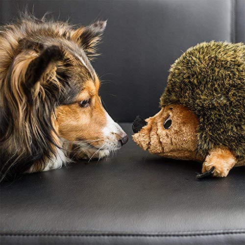 Outward Hound Hedgehogz Plush Dog Toy, XL