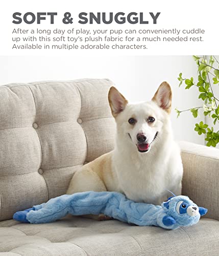 Charming Pet Longidudes Raccoon Plush and Squeaky Dog Tug Toy