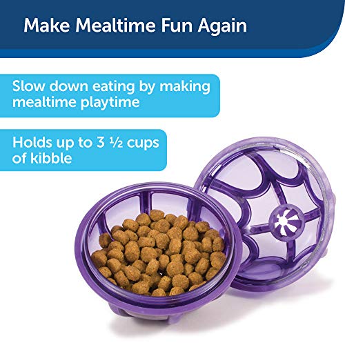 PetSafe Busy Buddy Kibble Nibble Meal Dispensing Dog Toy, Small - PTY00-13739,purple