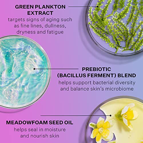 StriVectin Super-B Barrier Strengthening Oil with Vitamin B3 and Prebiotics, 1 Fl Oz