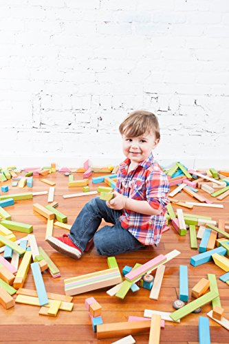 14 Piece Tegu Magnetic Wooden Block Set, Blossom