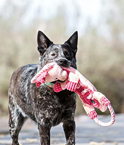 Charming Pet Ropes-A-Go-Go Gator Interactive Plush Squeaky Dog Tug Toy
