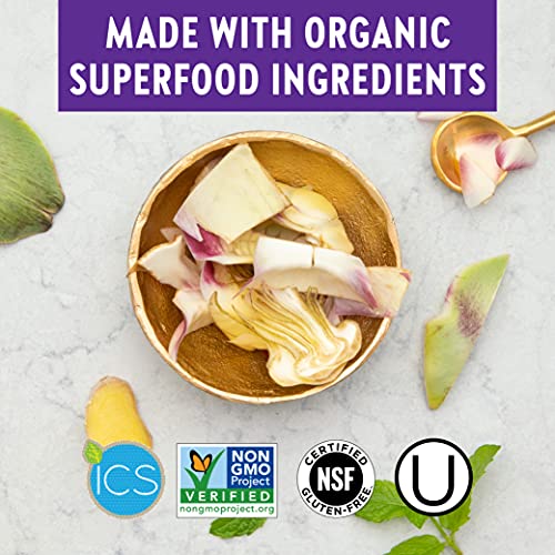 Iron Supplement, New Chapter Fermented Iron Complex with Organic Whole-Food Ingredients + One Daily Non-Constipating Dose- 60 Count (Pack of 1), 2 Month Supply