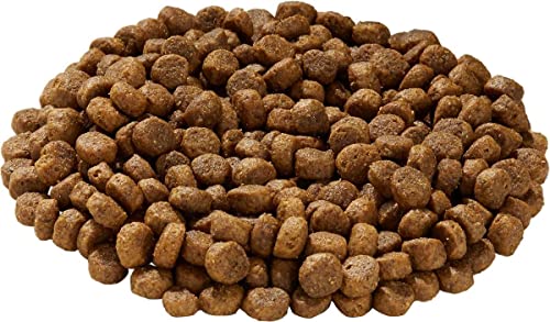 Health Extension Dry Dog Food, Natural Food with Added Vitamins and Minerals, Suitable for All Puppies, Grain Free, Duck Recipe with Whole Vegetable and Berries (4 Pound)
