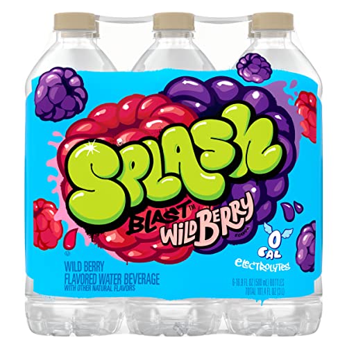 Splash Blast, Wild Berry Flavored Water, Zero Sugar, with Electrolytes, 16.9 Fl Oz, 6 Pack