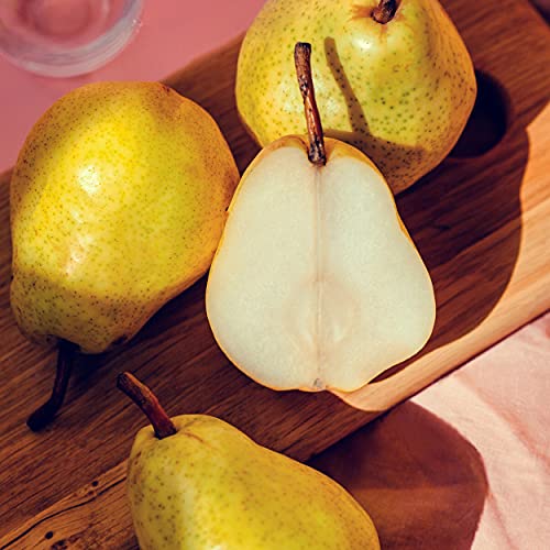 Calvin Klein Eternity for Women Eau Fresh Eau de Parfum, 3.3 Fl. Oz.