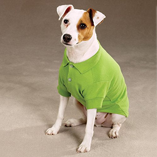 Zack and Zoey Cotton Polo Shirt for Dogs, 12' Small, Parrot Green