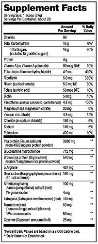 Vega Sport Recovery Apple Berry (20 Servings) Post Workout Recovery Drink for Women and Men, Electrolytes, Carbohydrates, B-Vitamins, Vitamin C and Protein, Vegan, Gluten Free, Dairy Free, 1.2lbs